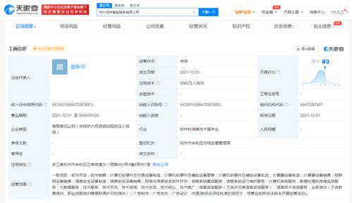 阿里新設(shè)智能服務(wù)公司，拓展大數(shù)據(jù)與信息技術(shù)咨詢業(yè)務(wù)